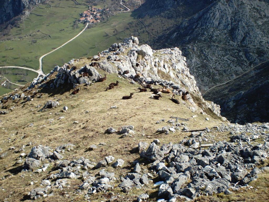 Viviendas De Uso Turistico La Arboleda I Y II 콜롬브레스 외부 사진