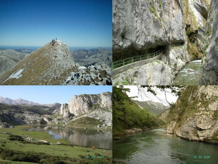 Viviendas De Uso Turistico La Arboleda I Y II 콜롬브레스 외부 사진
